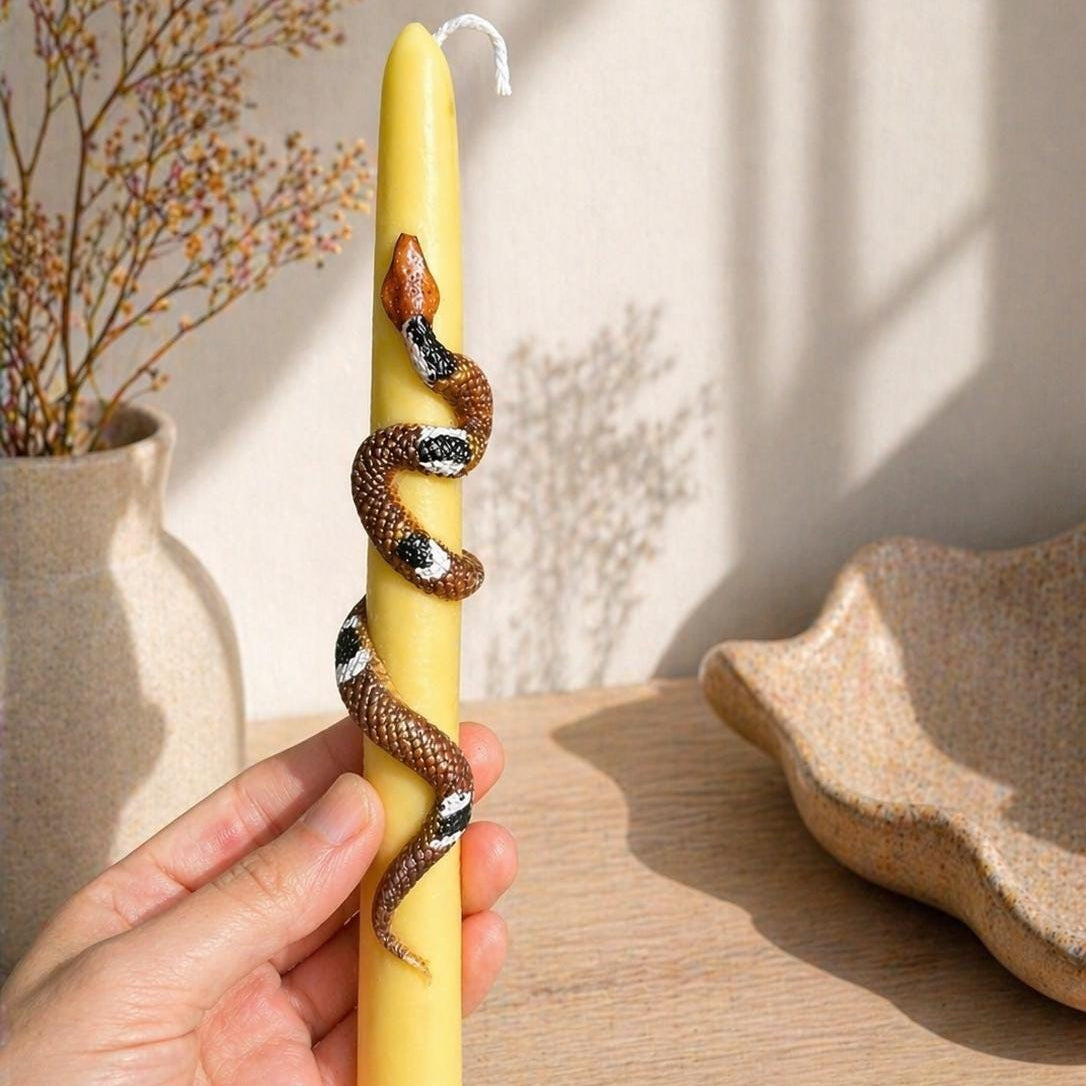 Colorful Snake Taper Candle Set