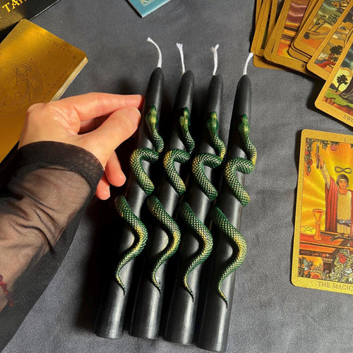 Black Snake Taper Candles Set